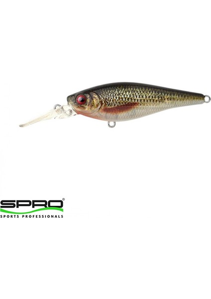 Ikiru Shad Roach 7,0cm 11G Maket Yem 1/1