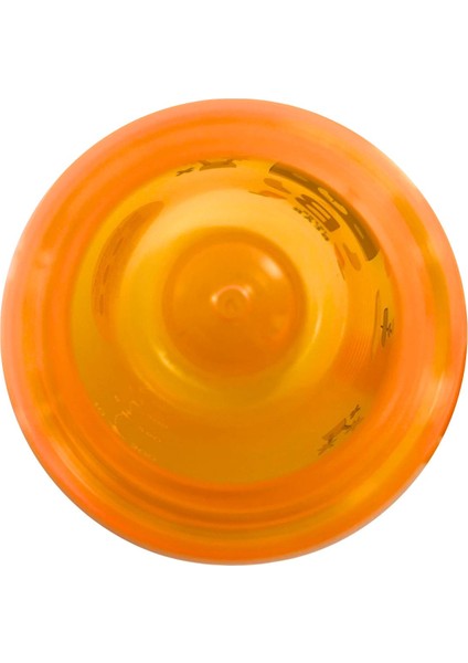 Cute Bear Baskılı Korsan Temalı 400 ml Suluk / Matara fırsatları