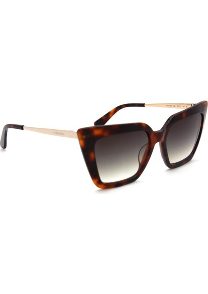 Ck 22516S C220 Kadın Güneş Gözlüğü modelleri