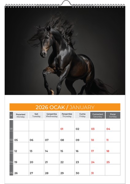 2026 Hors At Duvar Takvimi