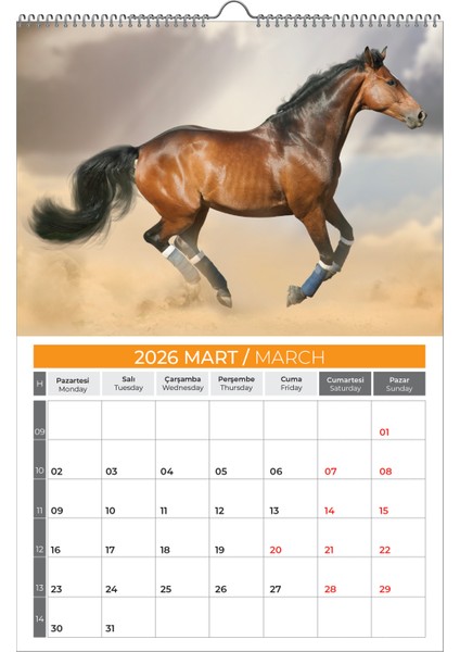 2026 Hors At Duvar Takvimi fiyatları