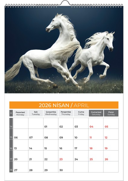 2026 Hors At Duvar Takvimi modelleri