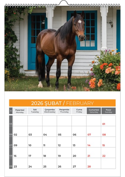 2026 Hors At Duvar Takvimi fırsatları