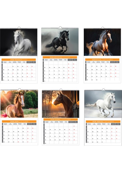 2026 Hors At Duvar Takvimi