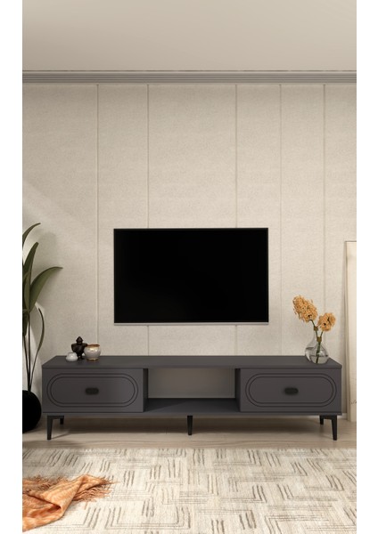 Wenyct Tv Sehpası Antrasit-Antrasit