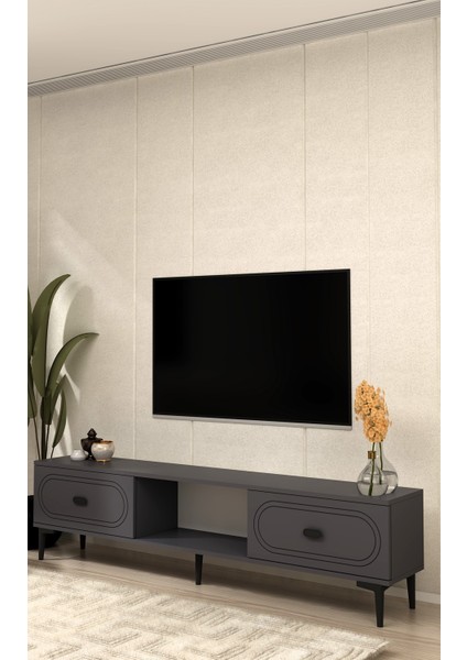 Wenyct Tv Sehpası Antrasit-Antrasit indirimleri