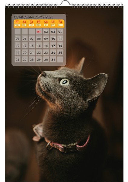 2026 Kedi / Cat Duvar Takvimi / 33X48 CM
