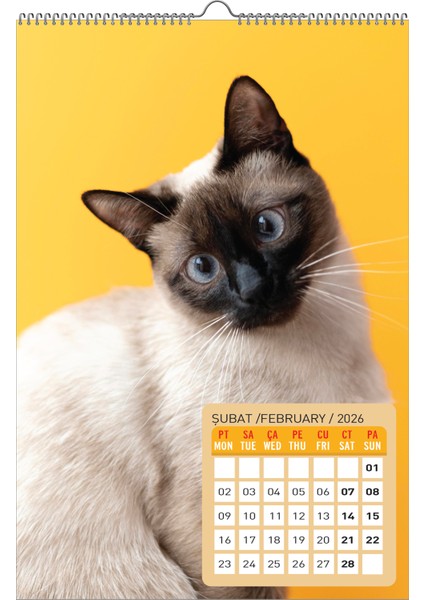 2026 Kedi / Cat Duvar Takvimi / 33X48 CM fiyatları