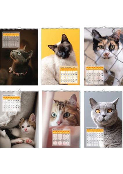 2026 Kedi / Cat Duvar Takvimi / 33X48 CM modelleri