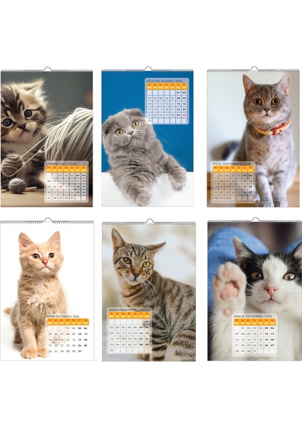 2026 Kedi / Cat Duvar Takvimi / 33X48 CM fırsatları
