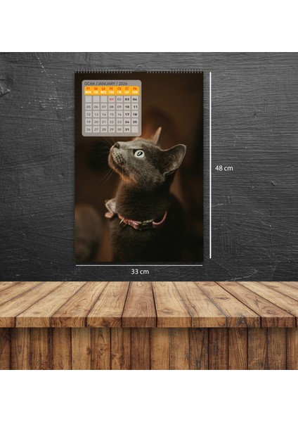 2026 Kedi / Cat Duvar Takvimi / 33X48 CM indirimleri