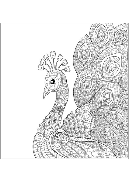 Karatay Colouring Relax Mandala Natürel Doğa