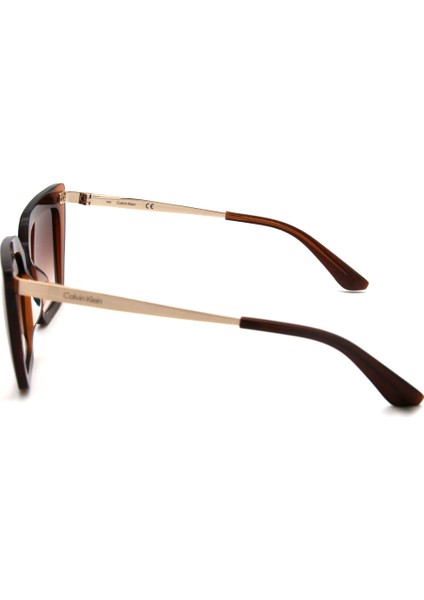 Ck 22516S C261 Kadın Güneş Gözlüğü fırsatları