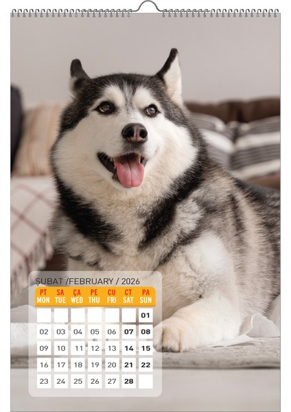 2026 Köpek / Doge Duvar Takvimi fiyatları