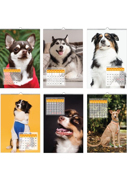 2026 Köpek / Doge Duvar Takvimi modelleri