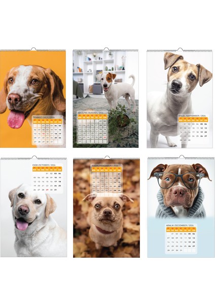 2026 Köpek / Doge Duvar Takvimi fırsatları