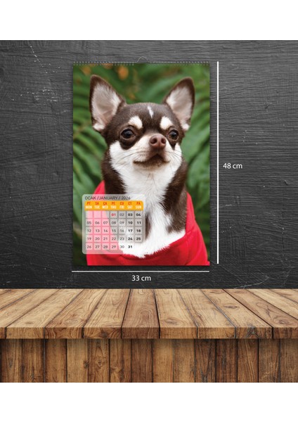 2026 Köpek / Doge Duvar Takvimi indirimleri