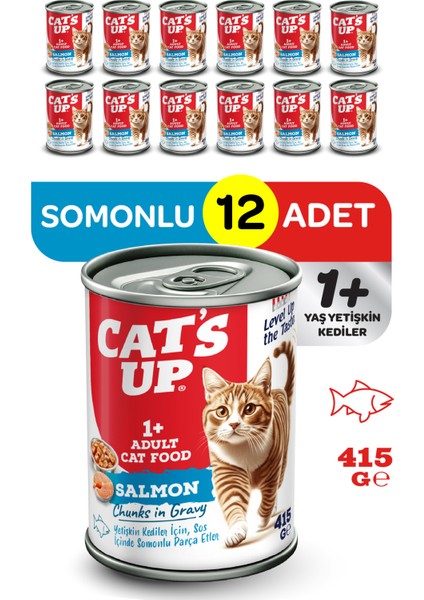 Cats Up Yaş Yetişkin Kedi Maması Somonlu 415GR 12LI
