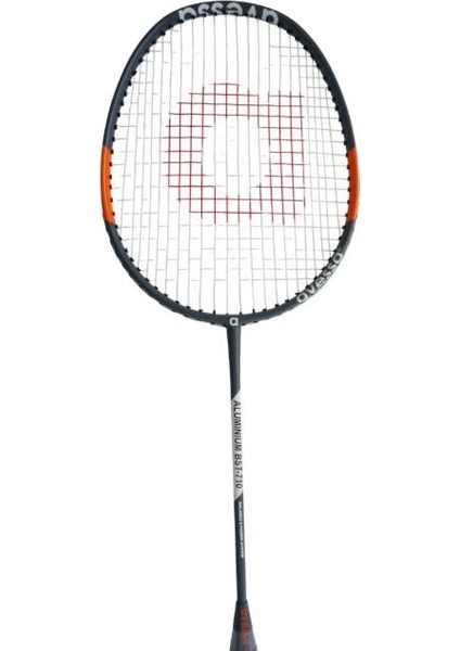 BST-710 Badmington Raket Seti Gri fırsatları