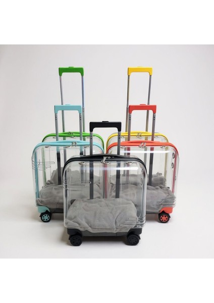 Şeffaf Renk Pet Kedi ve Köpek Taşımak Için Tekerlekli Seyahat Valizi Minderli fırsatları