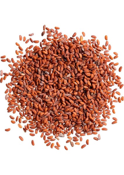 Üçlü Yeşillik Tohum Seti, Dereotu, Maydanoz ve Tere