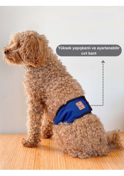 Erkek Köpekler Için Çiş Bezi & Erkek Köpek Külot Renkleri fırsatları