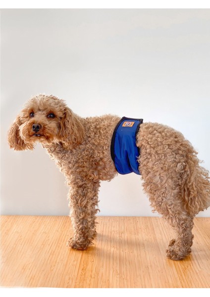 Erkek Köpekler Için Çiş Bezi & Erkek Köpek Külot Renkleri indirimleri