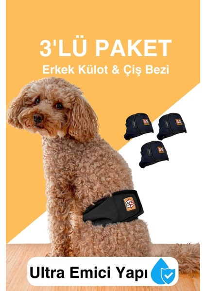 Erkek Köpekler Için Çiş Bezi & Erkek Köpek Külot Renkleri