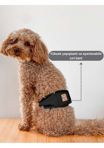 Erkek Köpekler Için Çiş Bezi & Erkek Köpek Külot Renkleri fırsatları