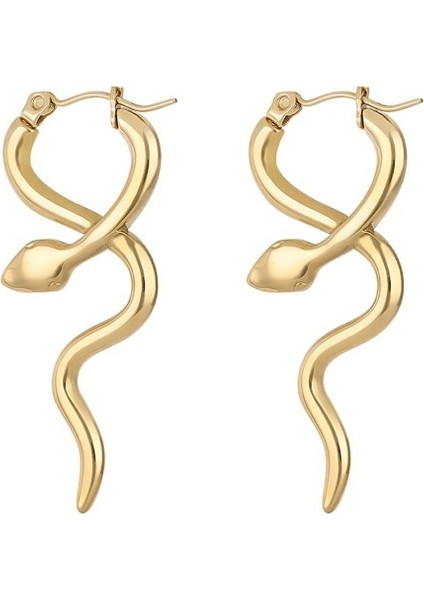 DKJ.5.30005-1 Çelik Altın Renk Kadın Küpe