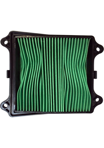 NS200 - RS200 - Dominar 400 Hava Filtresi