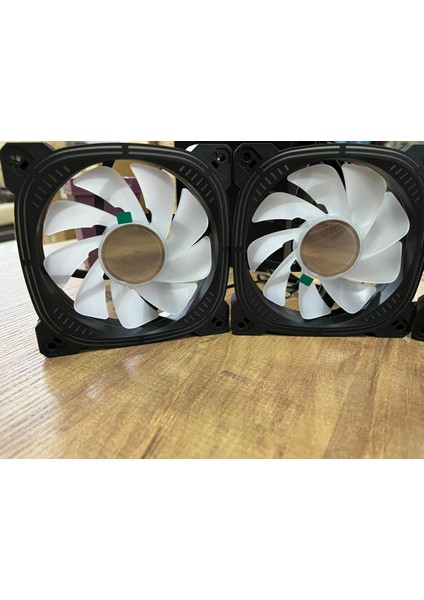 Melkor 6lı Fan modelleri