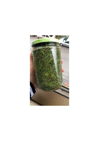 Salamura Kekik fiyatları