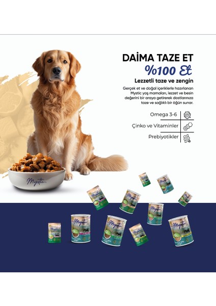 Biftekli Tahılsız Yetişkin Köpek Konservesi 400 gr x 12 Adet fırsatları