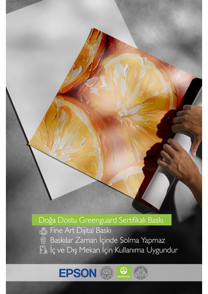 Ahşap Çerçeveli Tablo, Portakal Detaylı Canlı Çizim, Mutfak Dekoru Poster No: 107993