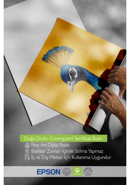 Çerçevesiz Poster, Tavus Kuşu Portresi, Salon Dekoru Poster No: 109392 indirimleri