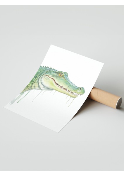 Çerçevesiz Poster, Sarkan Timsah Mizahi Illüstrasyon, Genç Odası Dekoru Poster No: 109357 modelleri