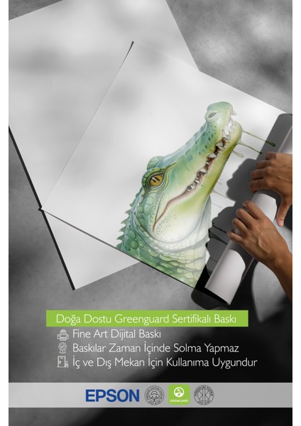 Çerçevesiz Poster, Sarkan Timsah Mizahi Illüstrasyon, Genç Odası Dekoru Poster No: 109357 indirimleri