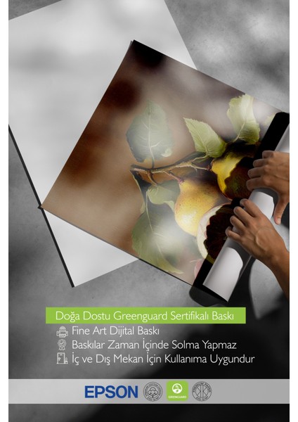 Ahşap Çerçeveli Tablo, Fresh Meyve Detaylı Realistik Çizim, Mutfak Dekoru Poster No: 108587