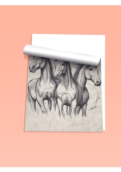 Çerçevesiz Poster, Üçlü At Eskiz Çizimi – Siyah Beyaz, Ofis Dekoru Poster No: 108664 fiyatları