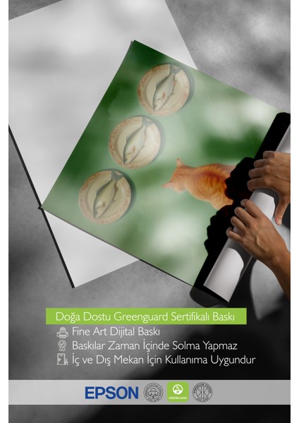 Çerçevesiz Poster, Sandalye Üstünde Kedi–yeşil Arka Plan, Yatak Odası Dekoru Poster No: 108102 indirimleri