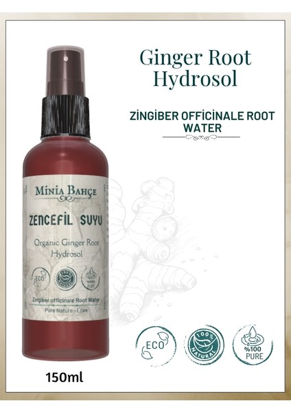 Zencefil Suyu - Doğal, 150ML, cam şişe