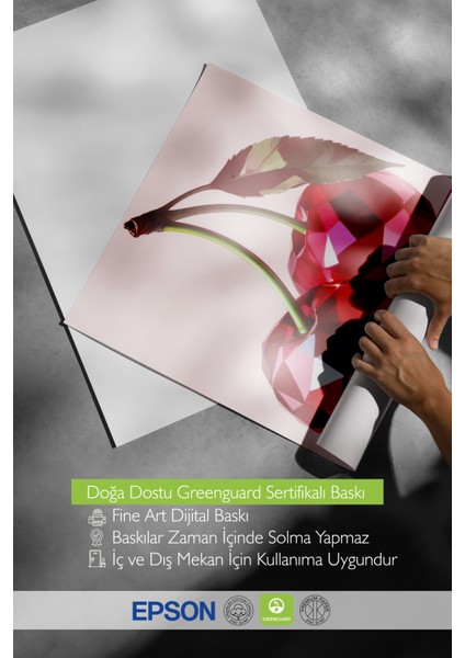 Çerçevesiz Poster, Tekli Parlak Kiraz, Mutfak Dekoru Poster No: 109536 indirimleri