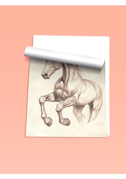 Çerçevesiz Poster, Yalnız At Portresi – Sanatsal Stil, Yatak Odası Dekoru Poster No: 109043 fiyatları