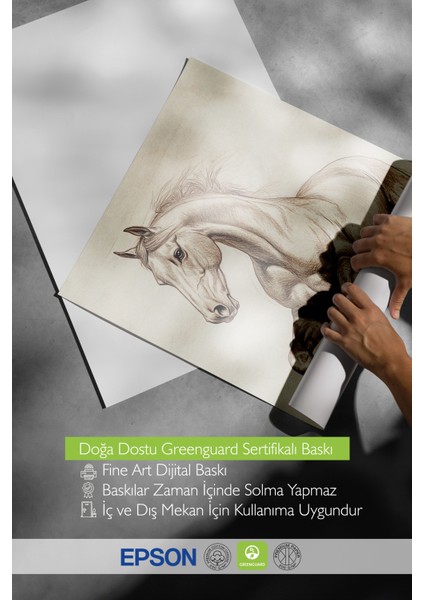 Çerçevesiz Poster, Yalnız At Portresi – Sanatsal Stil, Yatak Odası Dekoru Poster No: 109043 indirimleri