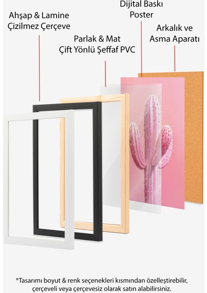 Siyah Çerçeveli Tablo, Pembe Kaktüs Minimal Çizim, Yatak Odası Dekoru Poster No: 109393