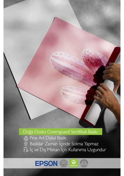 Siyah Çerçeveli Tablo, Pembe Kaktüs Minimal Çizim, Yatak Odası Dekoru Poster No: 109393