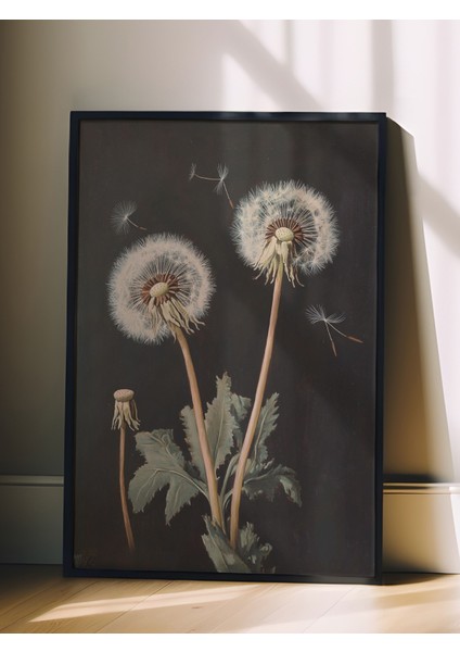 Siyah Çerçeveli Tablo, Karahindiba Çiçekleri – Minimalist Stil, Banyo Dekoru Poster No: 109105 fiyatları