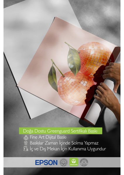 Çerçevesiz Poster, Turuncu Mandalina Illüstrasyonu, Mutfak Dekoru Poster No: 109341 indirimleri