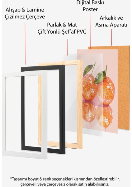 Siyah Çerçeveli Tablo, Turuncu Mandalina Illüstrasyonu, Mutfak Dekoru Poster No: 109341